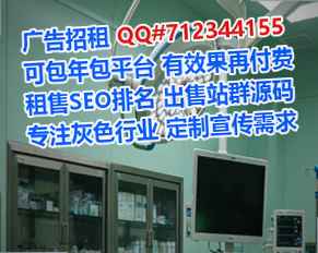 伊州借腹生子桥梁公司